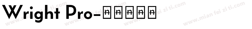 Wright Pro字体转换
